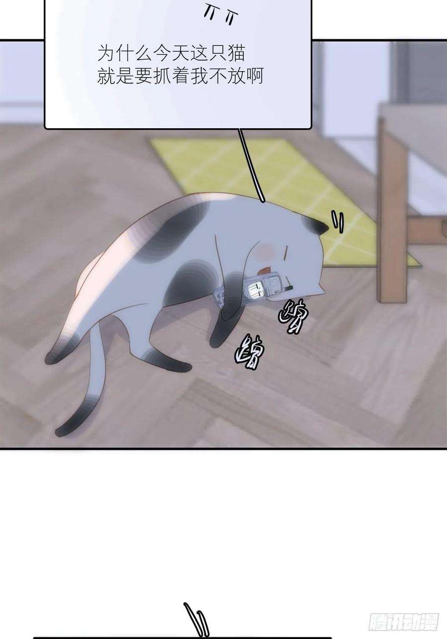 繁星告诉我34话 小白鸡找老婆