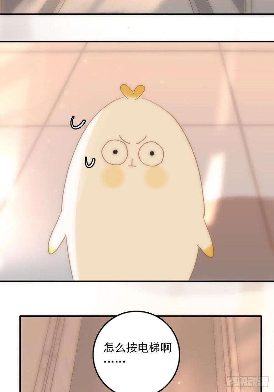 繁星告诉我34话 小白鸡找老婆