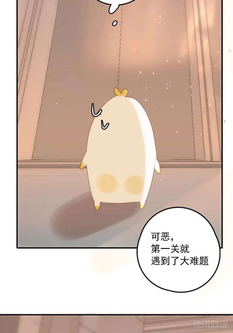 繁星告诉我34话 小白鸡找老婆