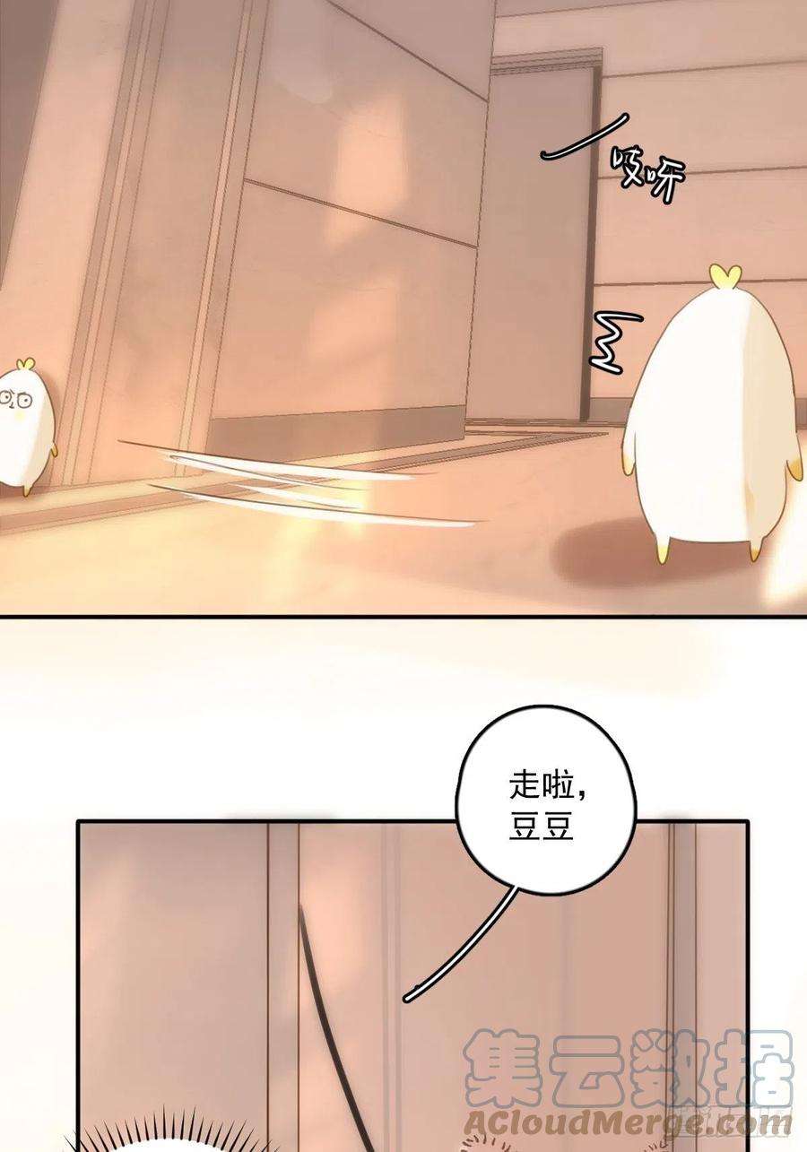 繁星告诉我34话 小白鸡找老婆