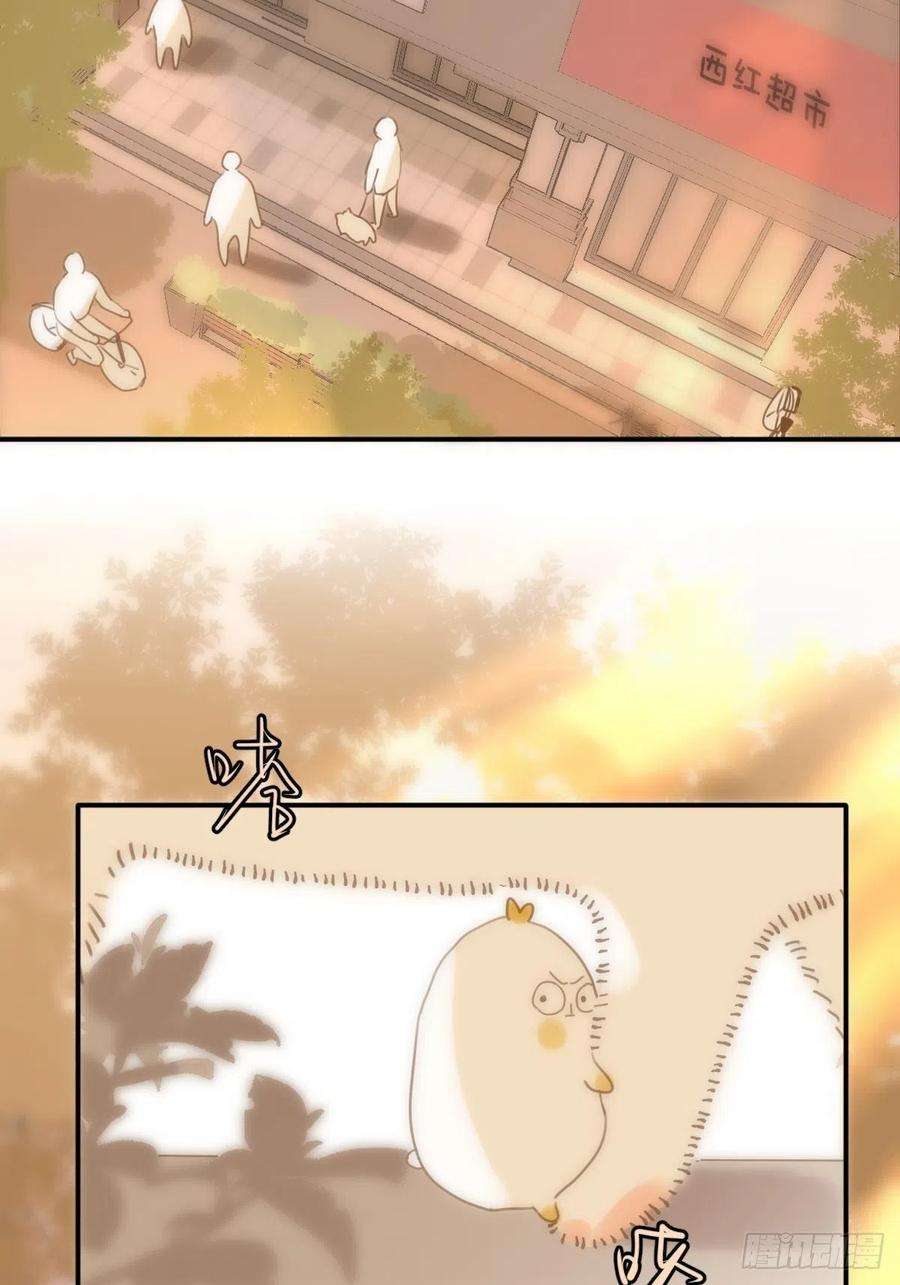 繁星告诉我34话 小白鸡找老婆