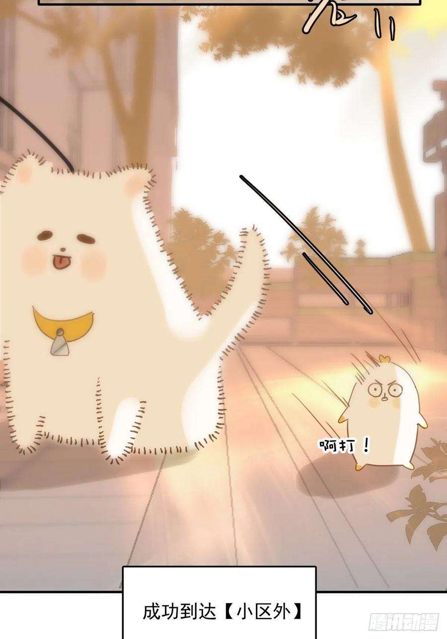 繁星告诉我34话 小白鸡找老婆