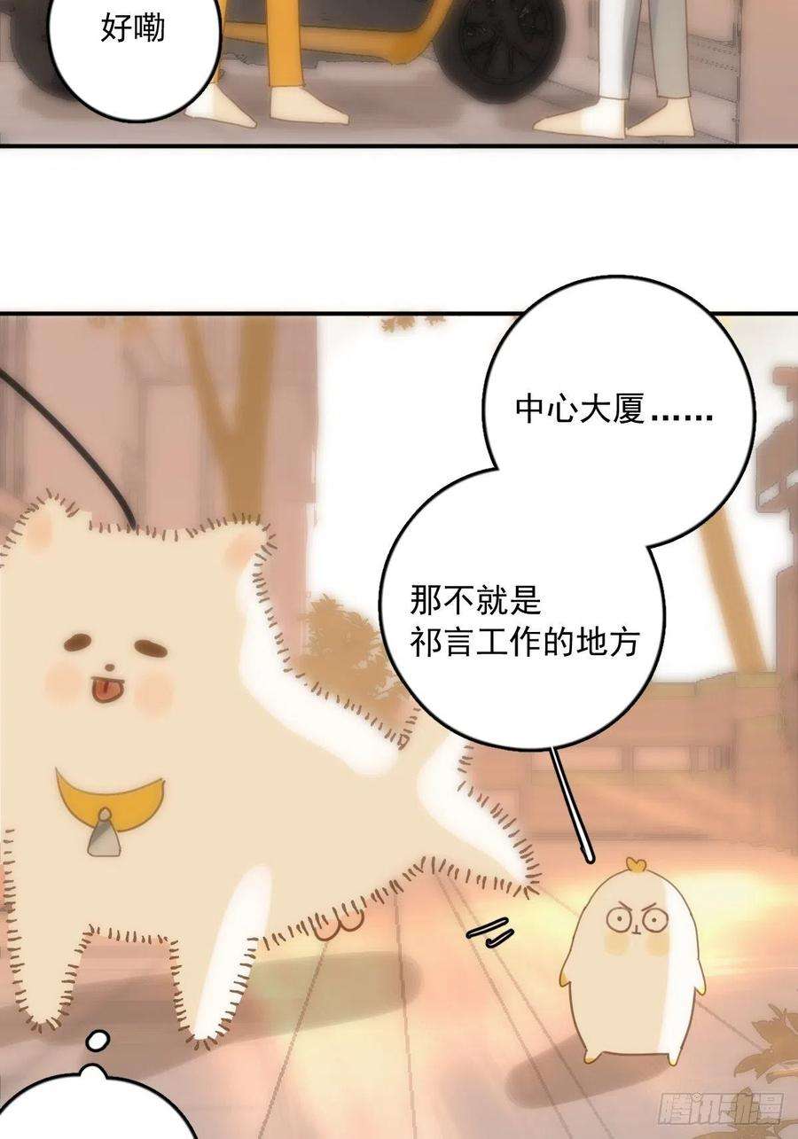 繁星告诉我34话 小白鸡找老婆