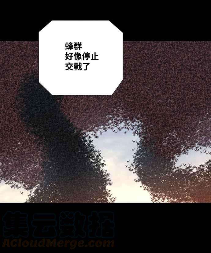 虫穴241话