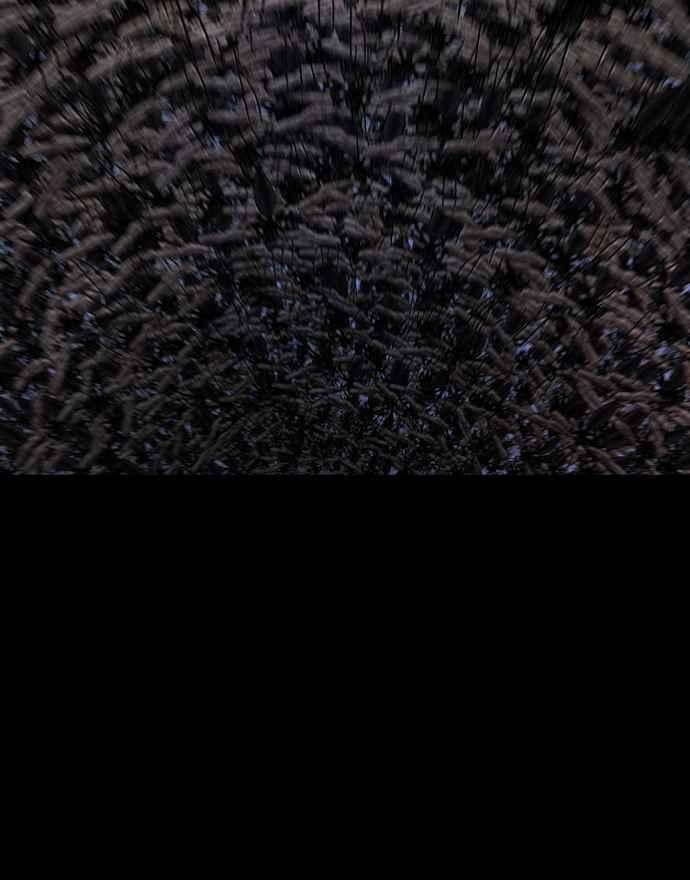 虫穴冥后崛起 第62话