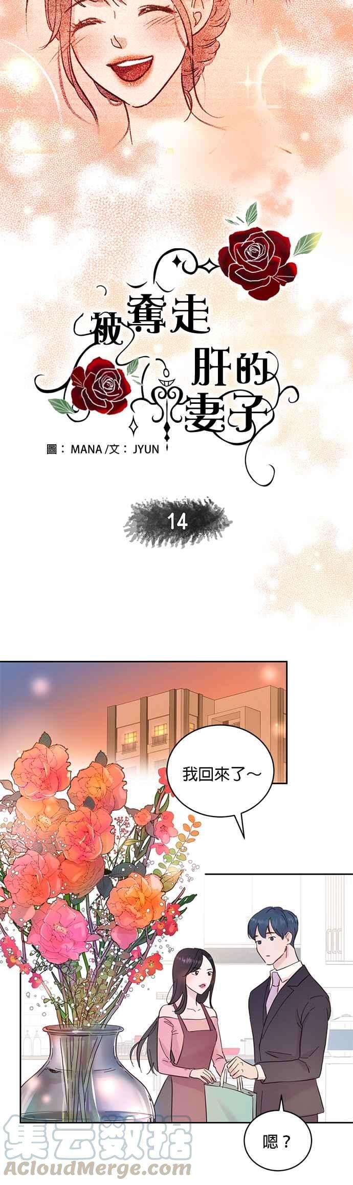 被夺走肝的妻子14话