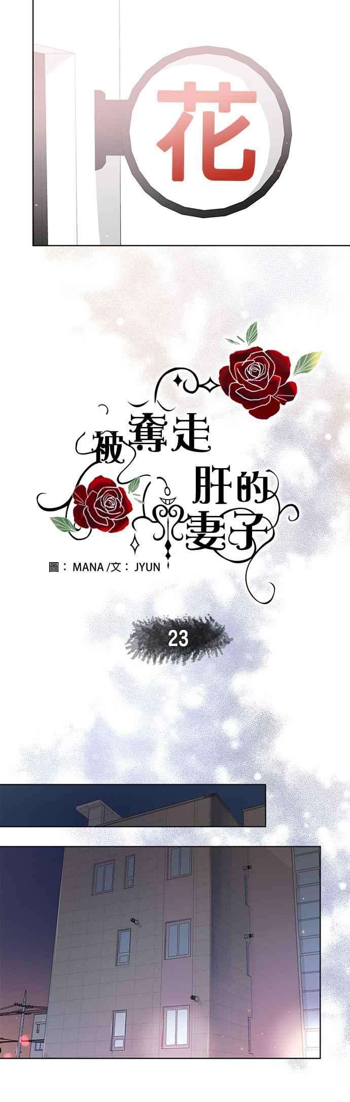 被夺走肝的妻子23话