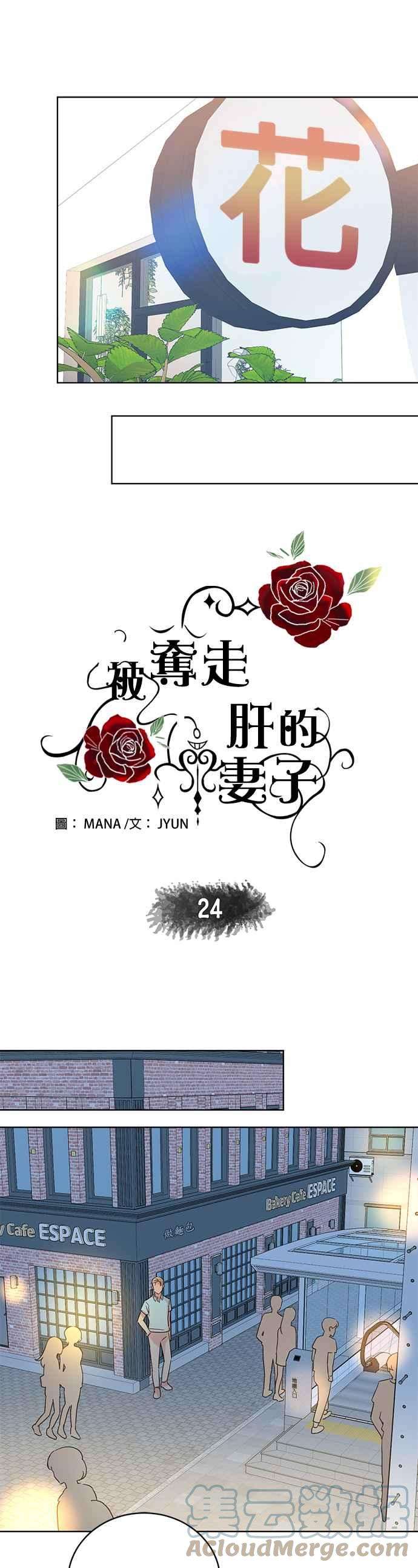 被夺走肝的妻子24话