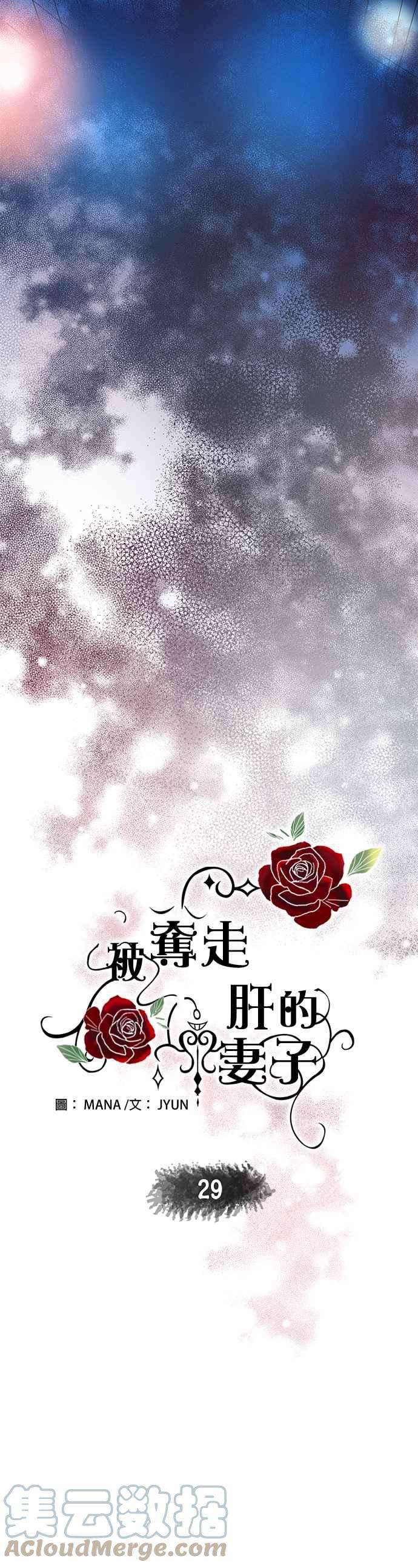 被夺走肝的妻子29话