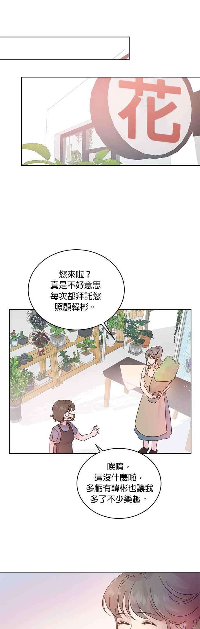 被夺走肝的妻子29话