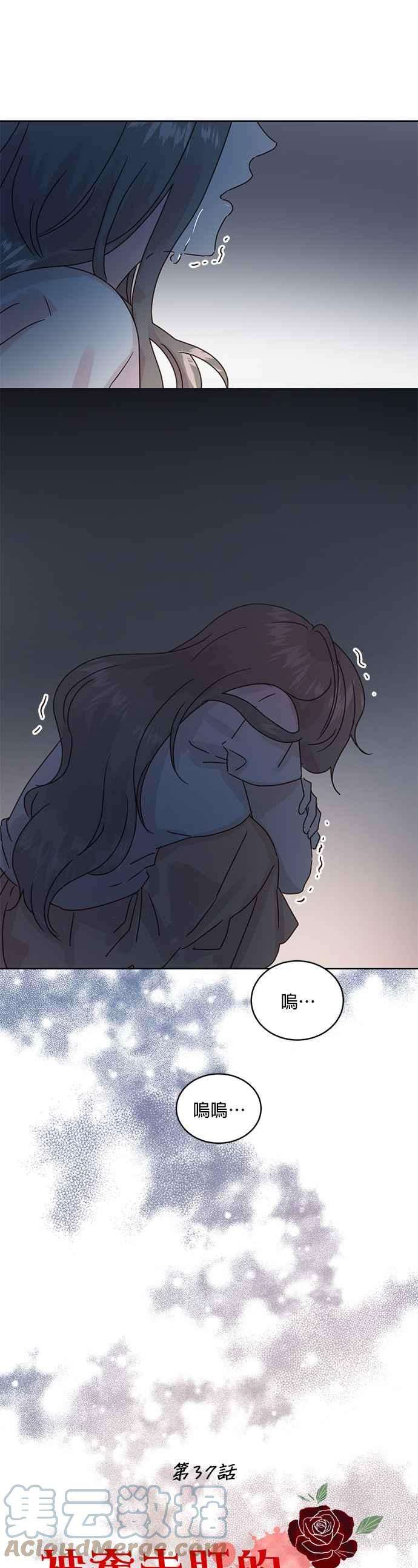被夺走肝的妻子37话