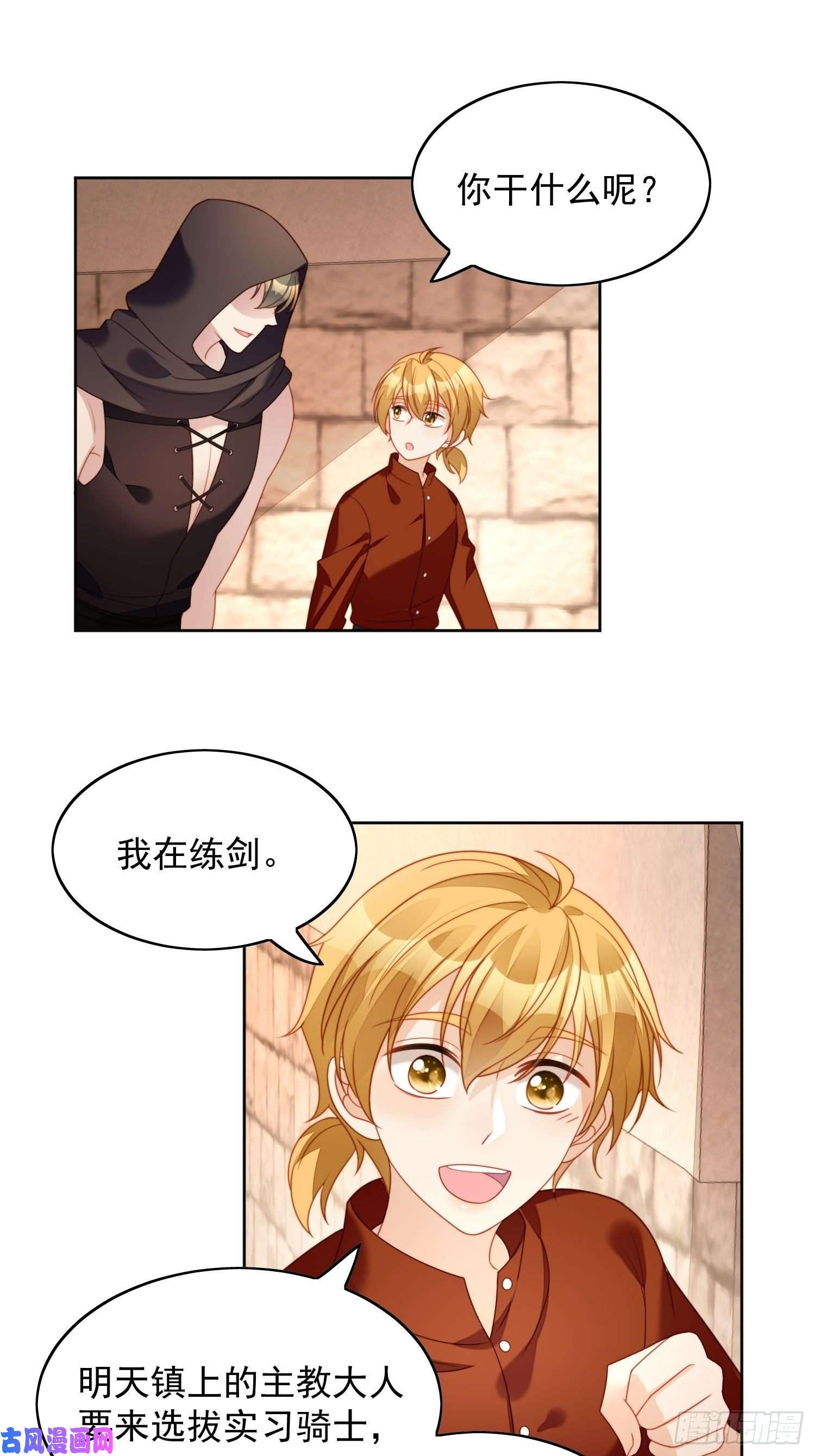 某天穿成恶毒皇后第35话 骑士的往事