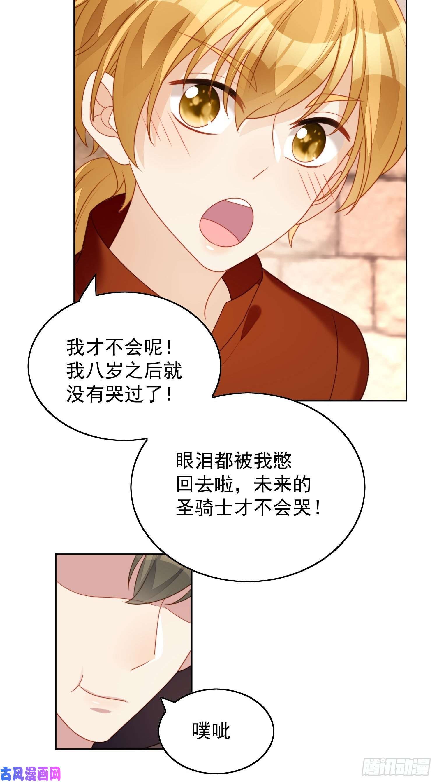 某天穿成恶毒皇后第35话 骑士的往事