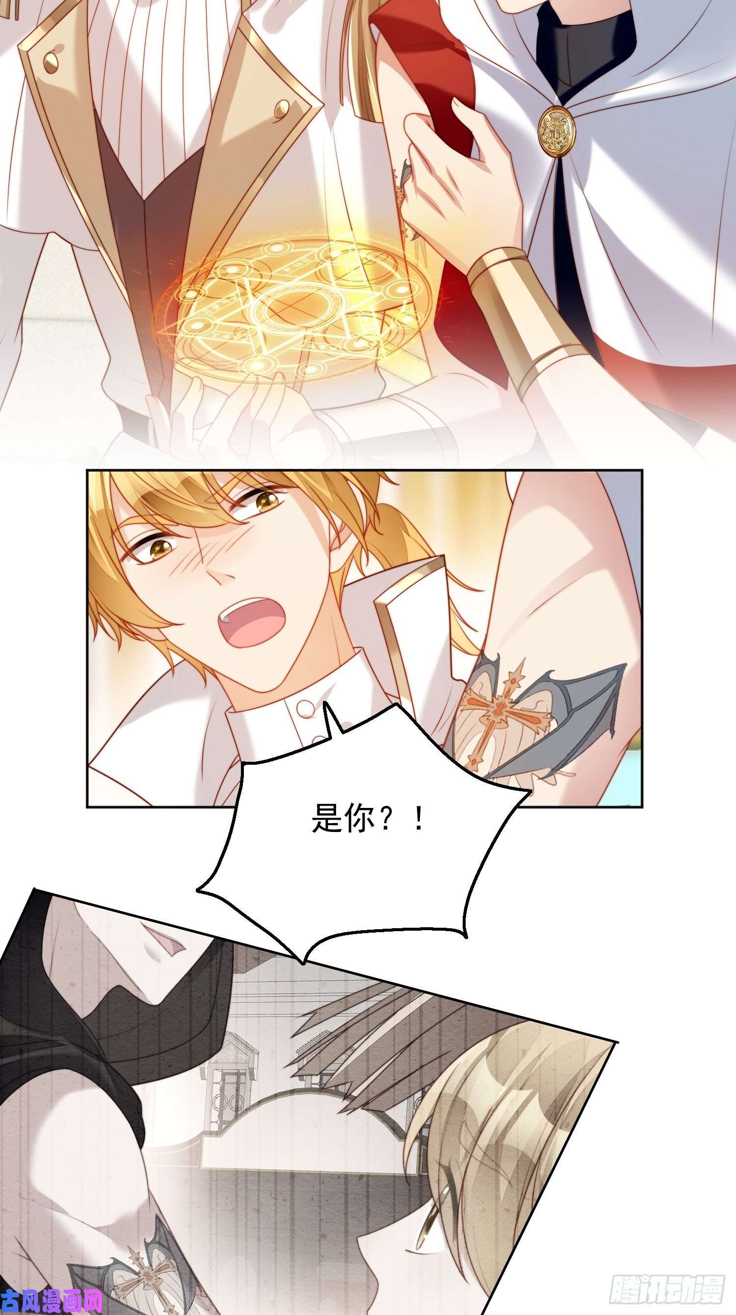 某天穿成恶毒皇后第37话 骑士的守护