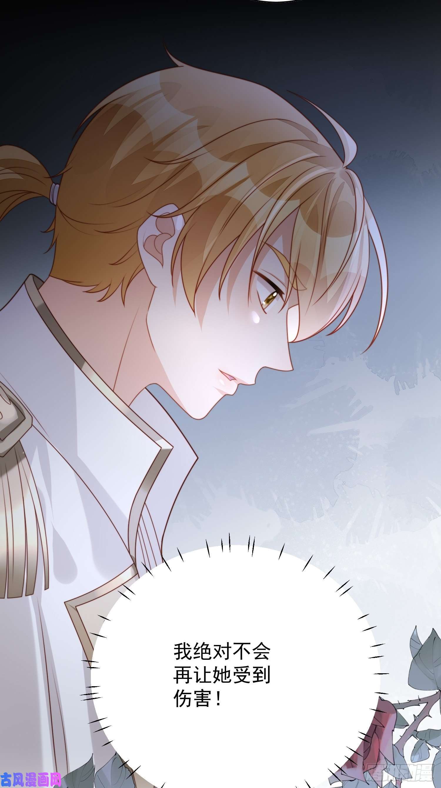 某天穿成恶毒皇后第37话 骑士的守护