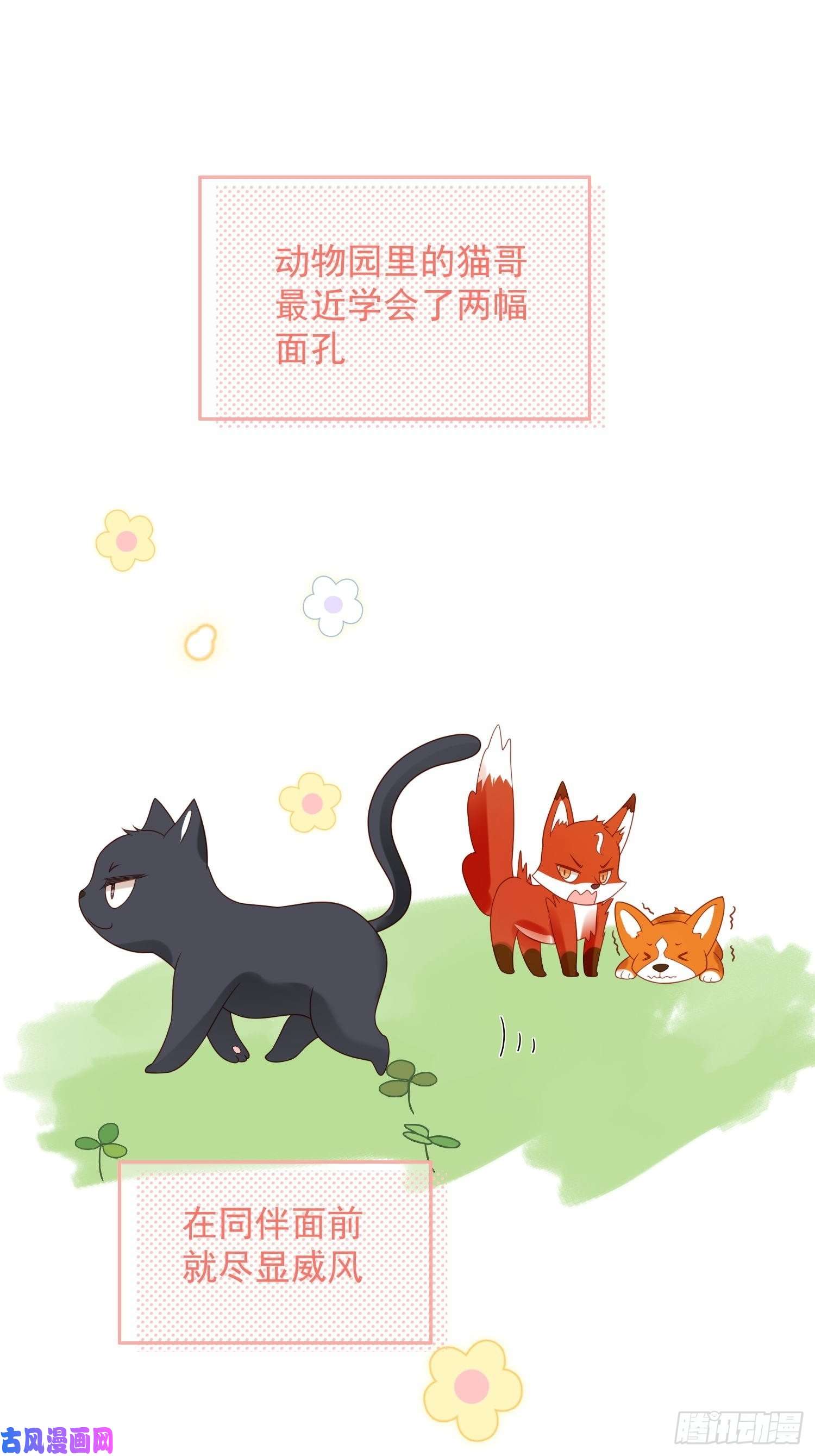 某天穿成恶毒皇后第五十三话 路西法的青梅竹马？