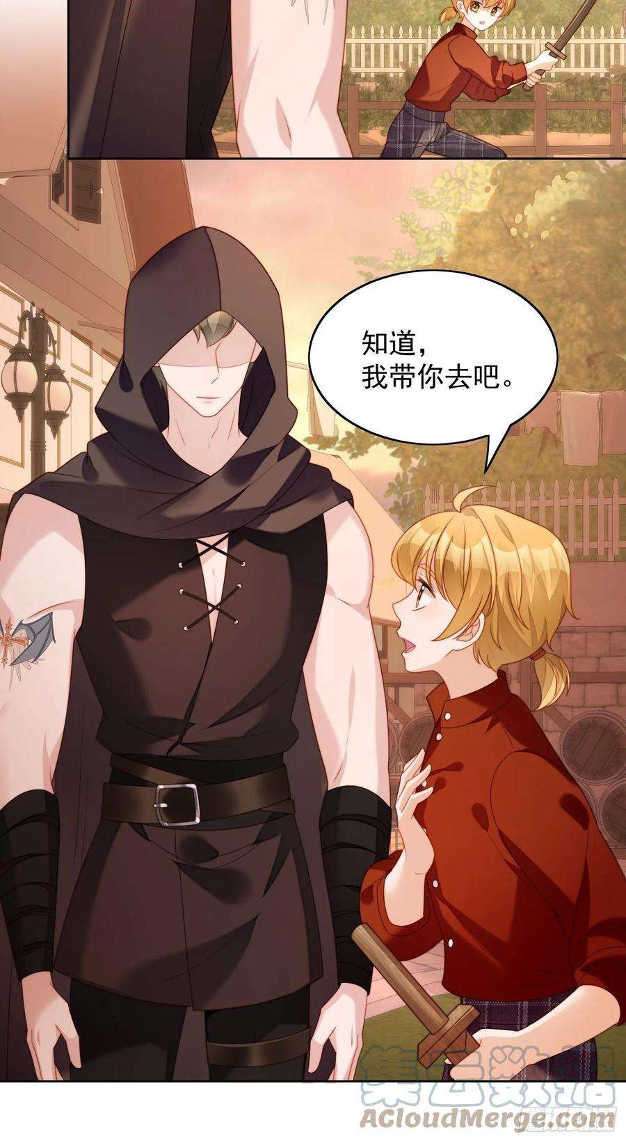 某天穿成恶毒皇后35话 骑士的往事