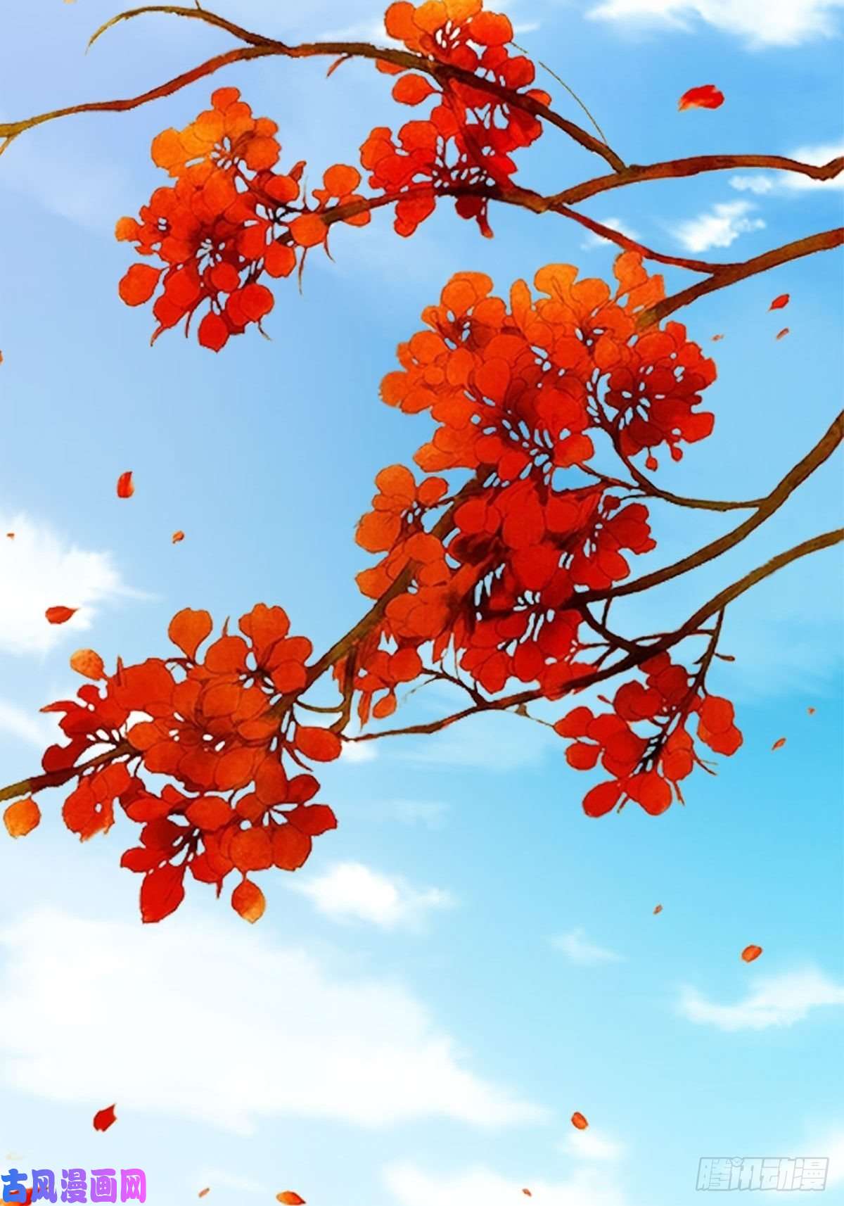 我驯服了暴君预告