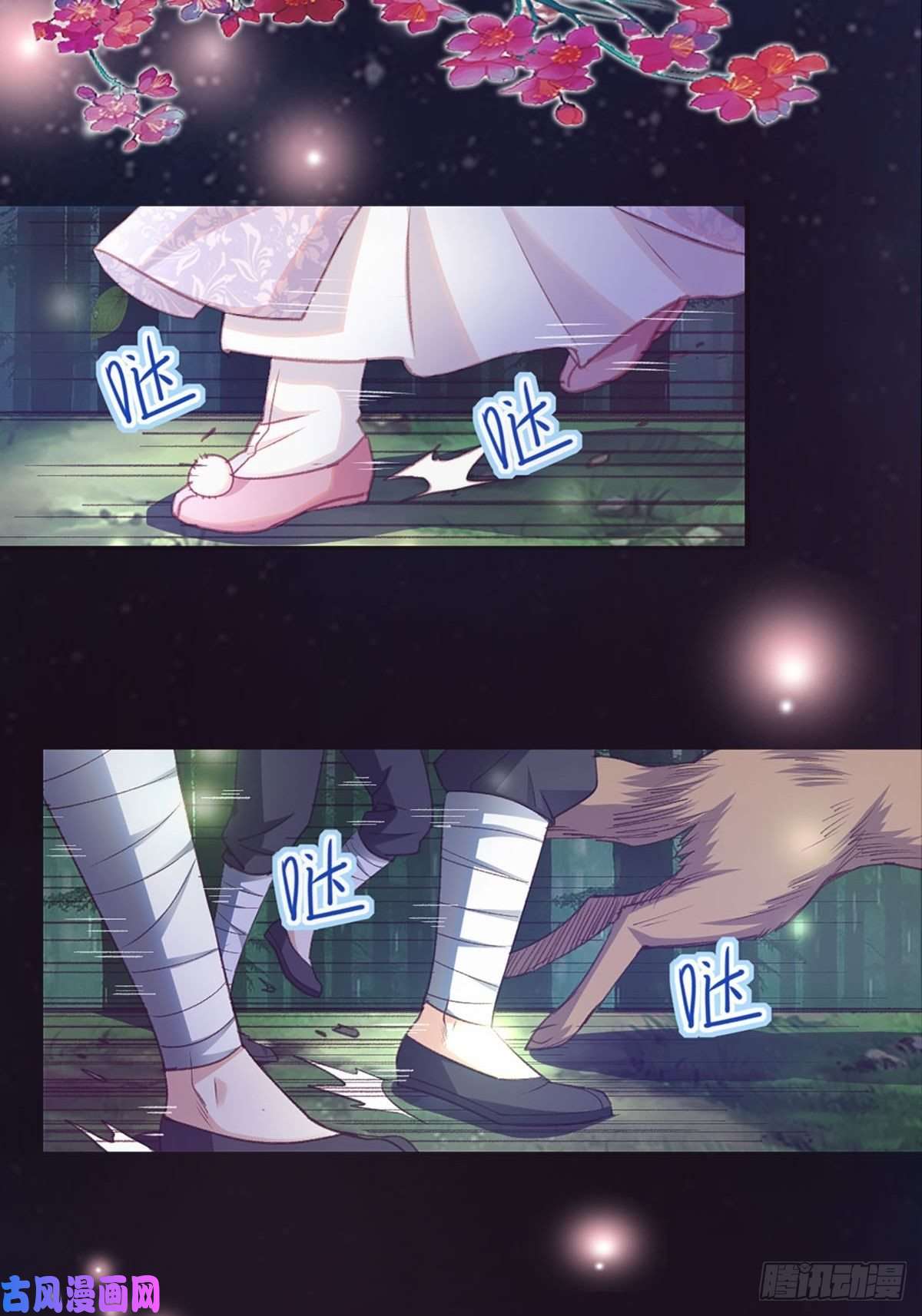 我驯服了暴君预告