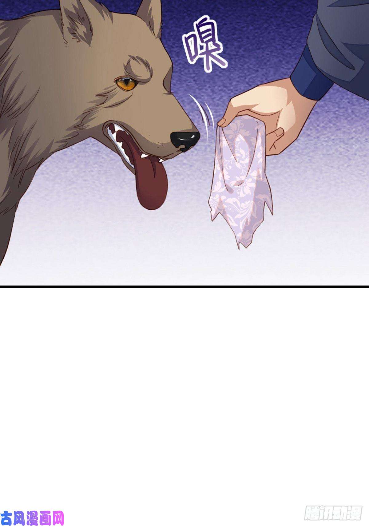 我驯服了暴君第4话 楚佩大人