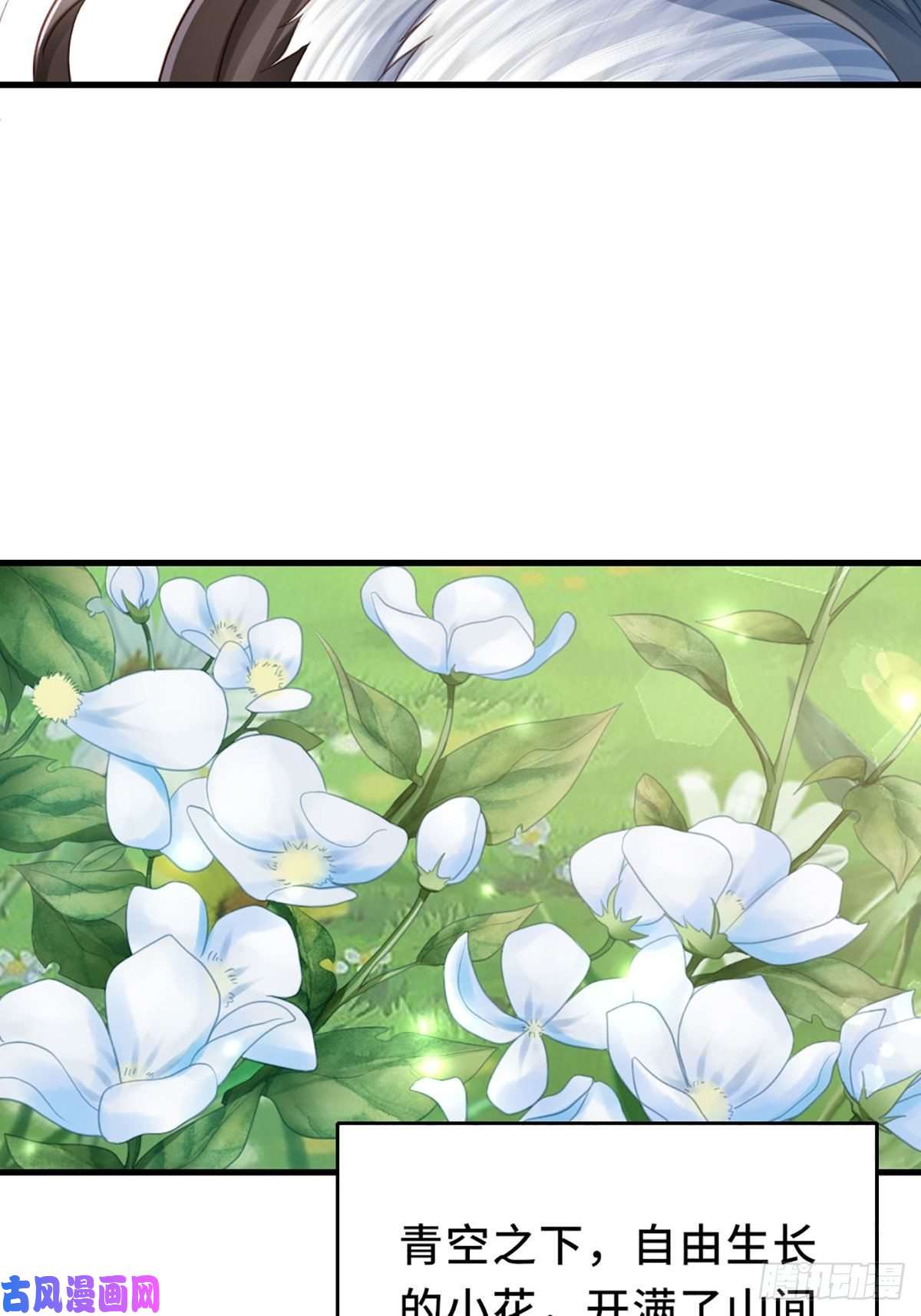 我驯服了暴君第7话 云间花海