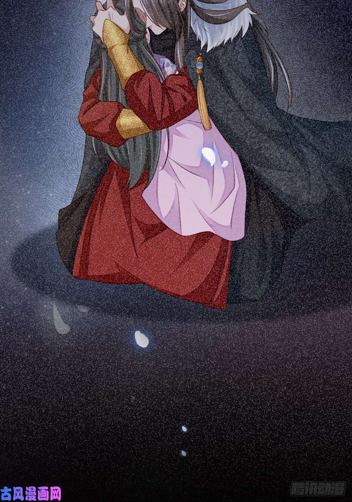 我驯服了暴君第11话 我要入宫