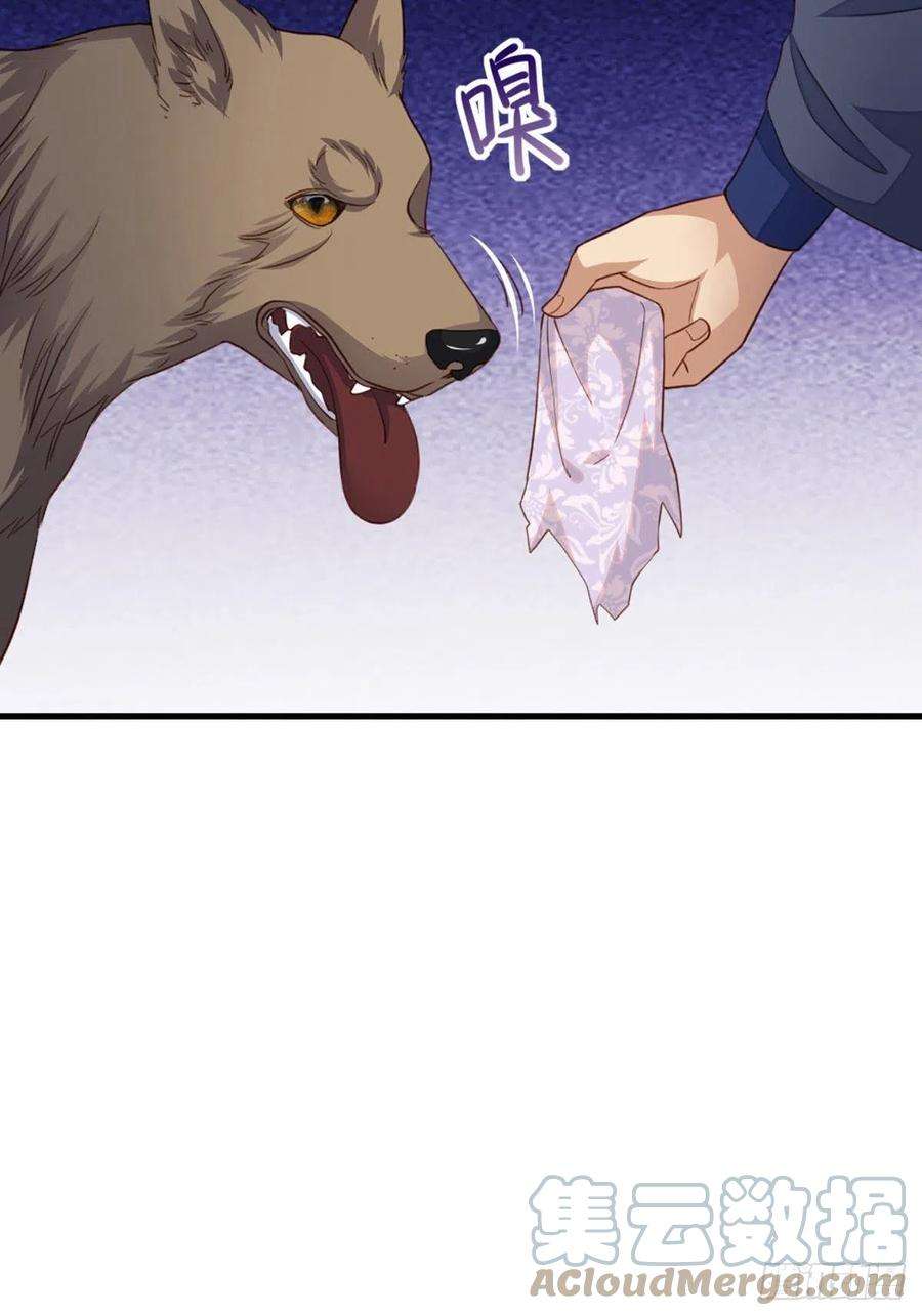 我驯服了暴君4话 楚佩大人