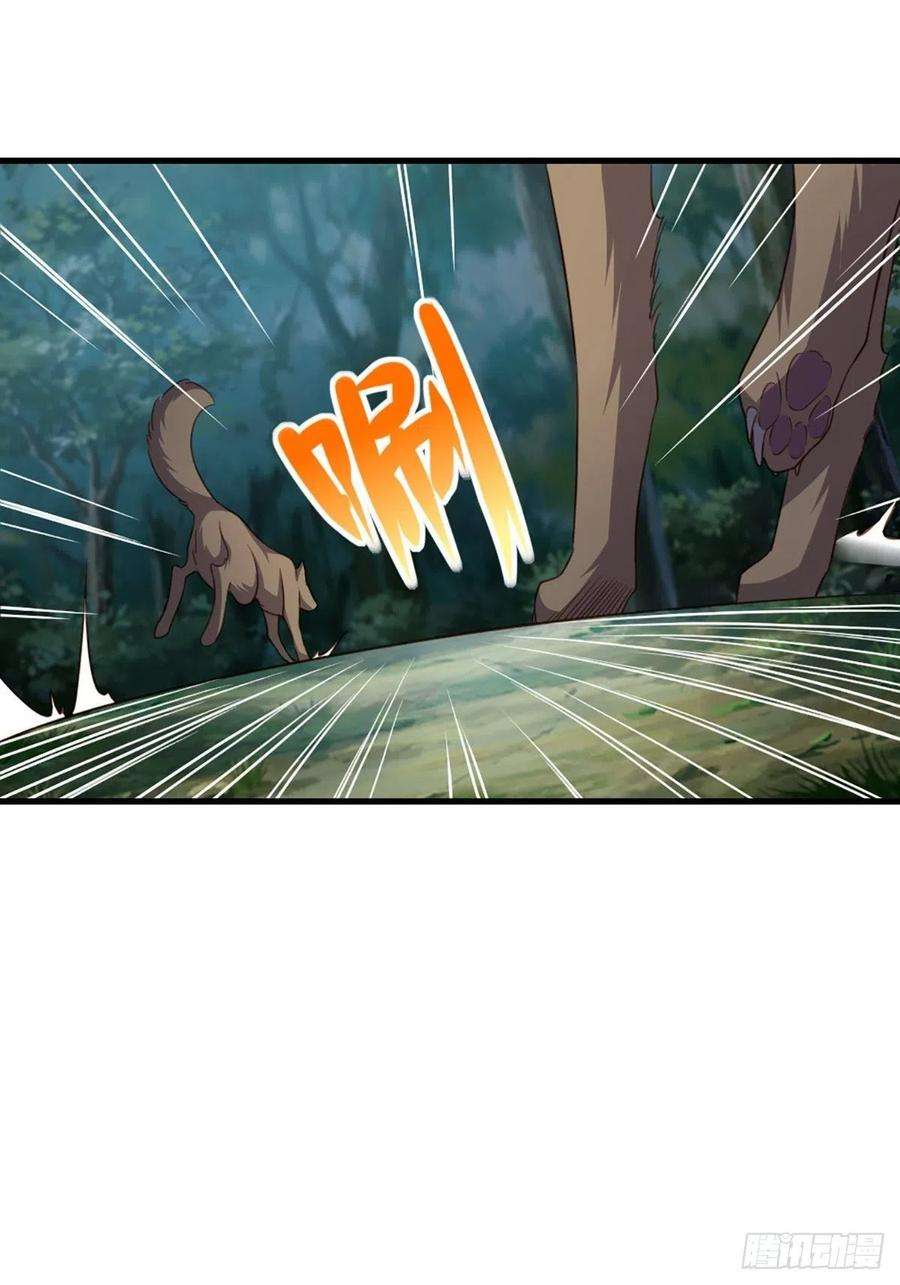 我驯服了暴君4话 楚佩大人