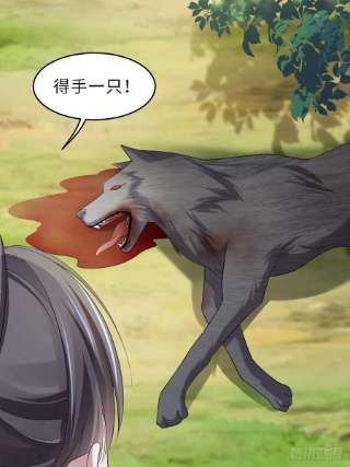 我驯服了暴君40话 林中遇袭