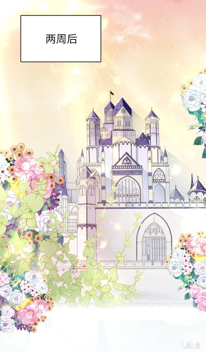 兄控公爵嫁不得44 乔装出逃