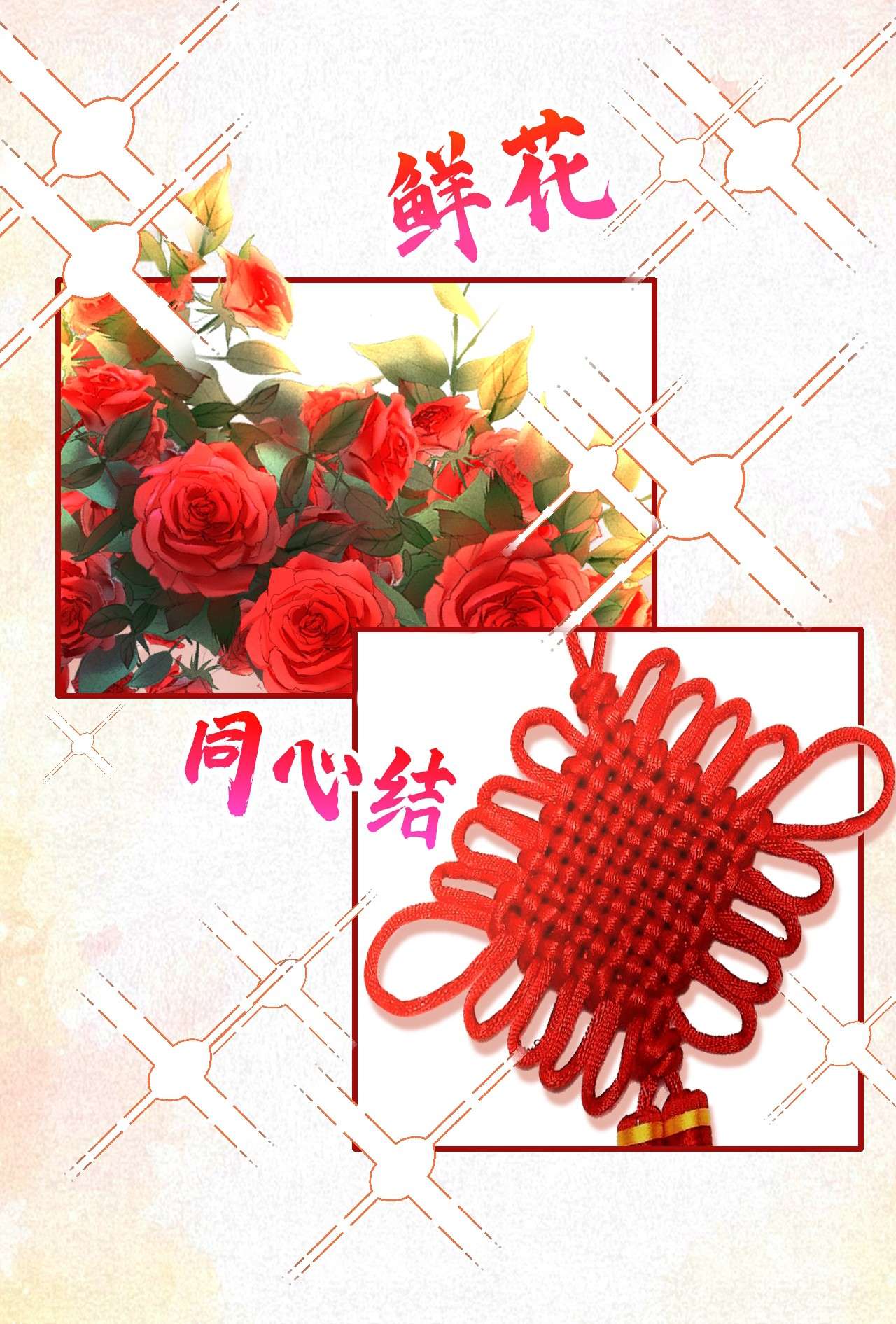 今夜恶女降临9 我在向你求婚