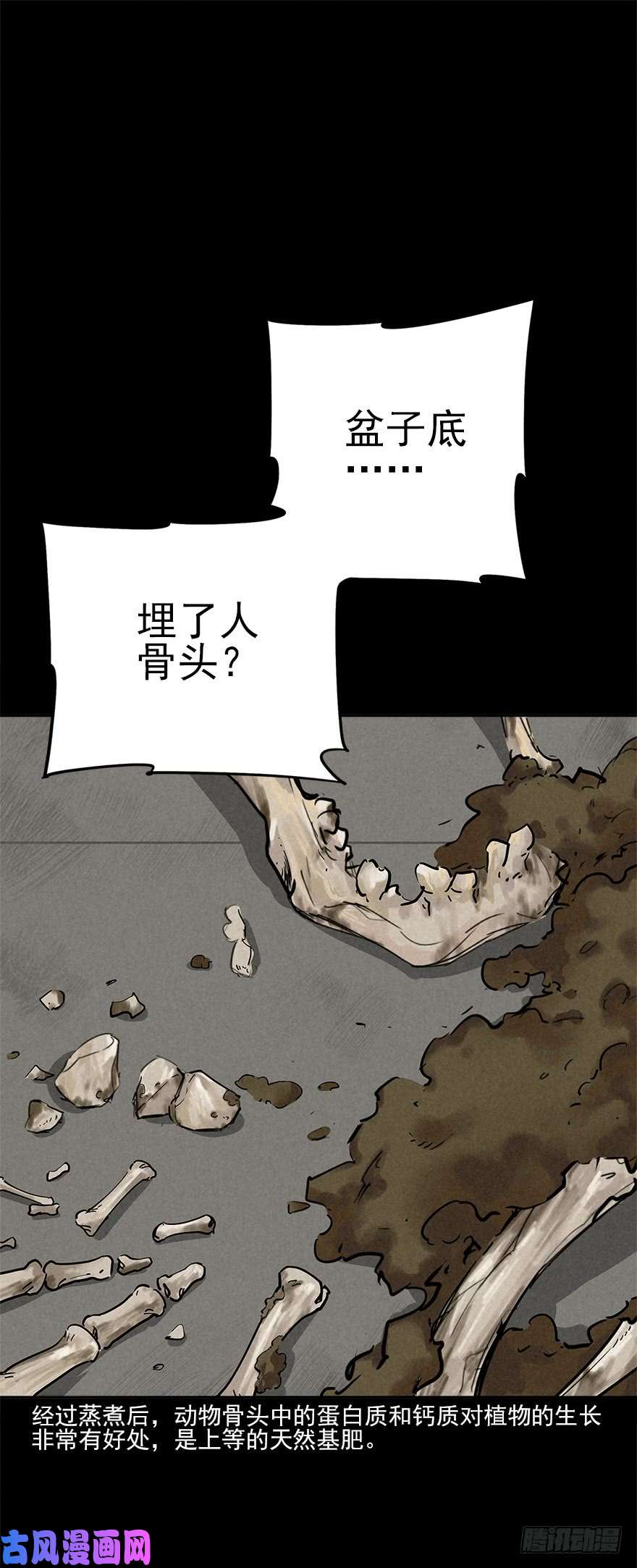 厄世轨迹埋于暗影