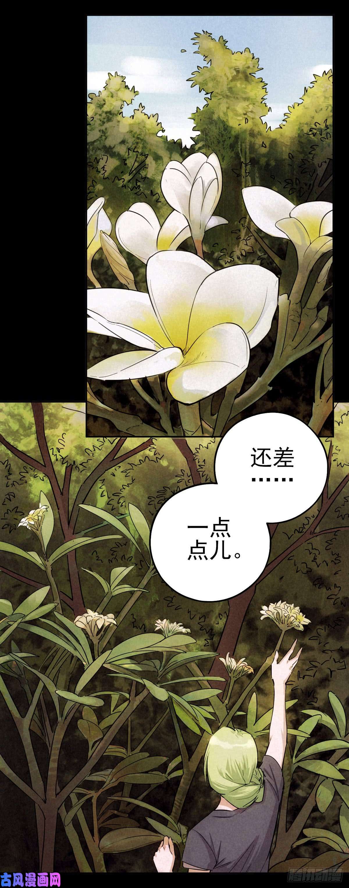厄世轨迹曲折公路（中）