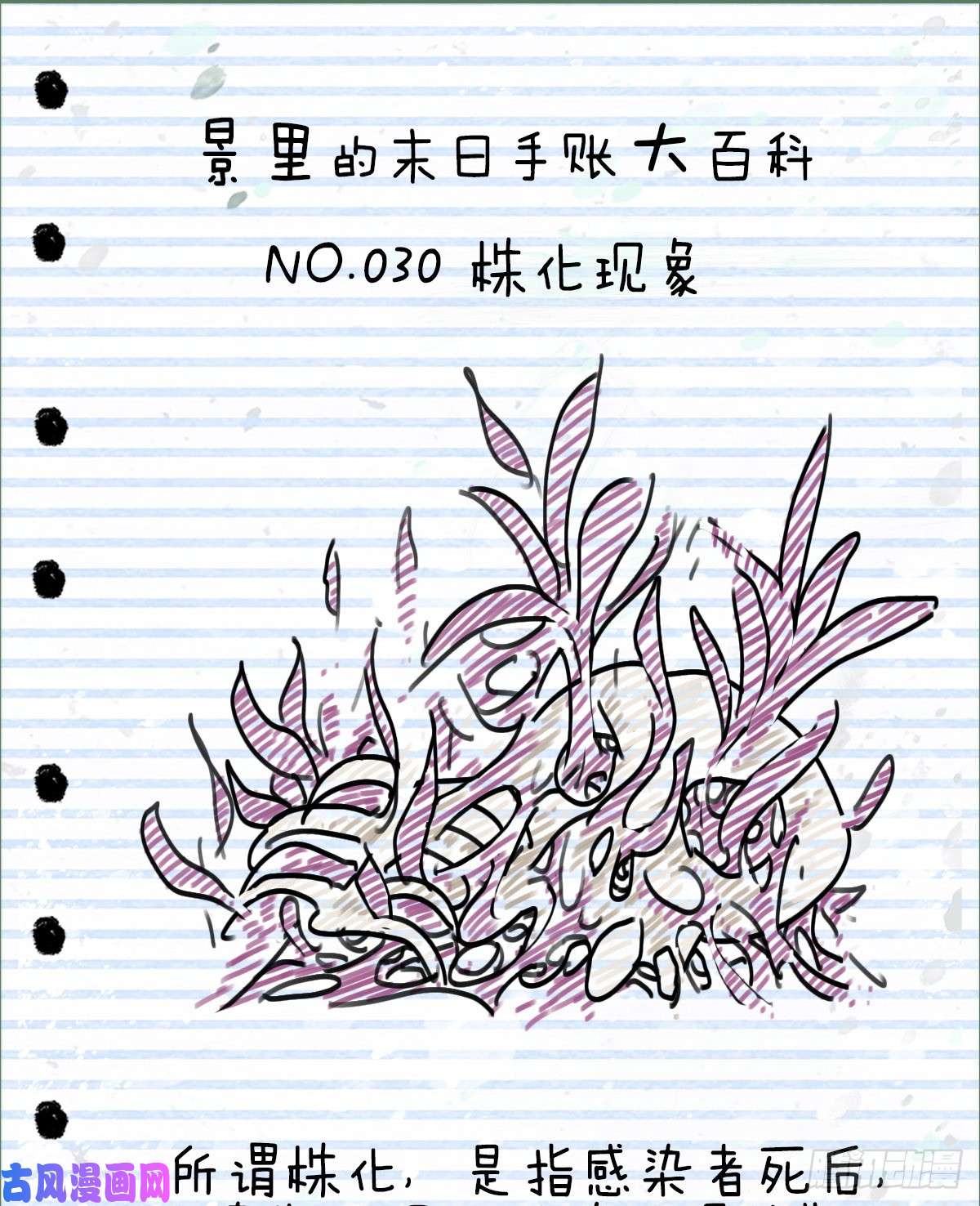 厄世轨迹曲折公路（中）