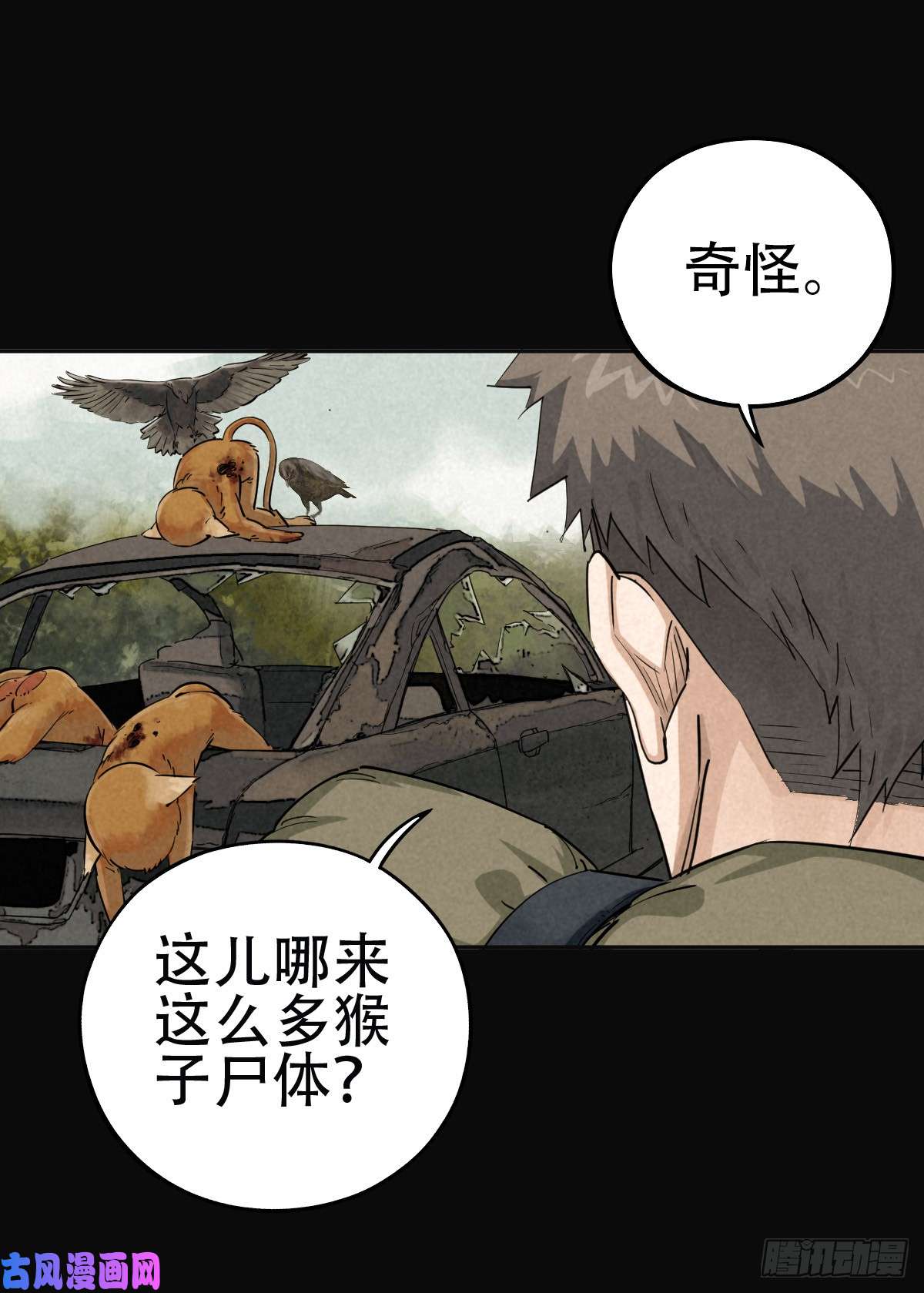 厄世轨迹鸠占鹊巢