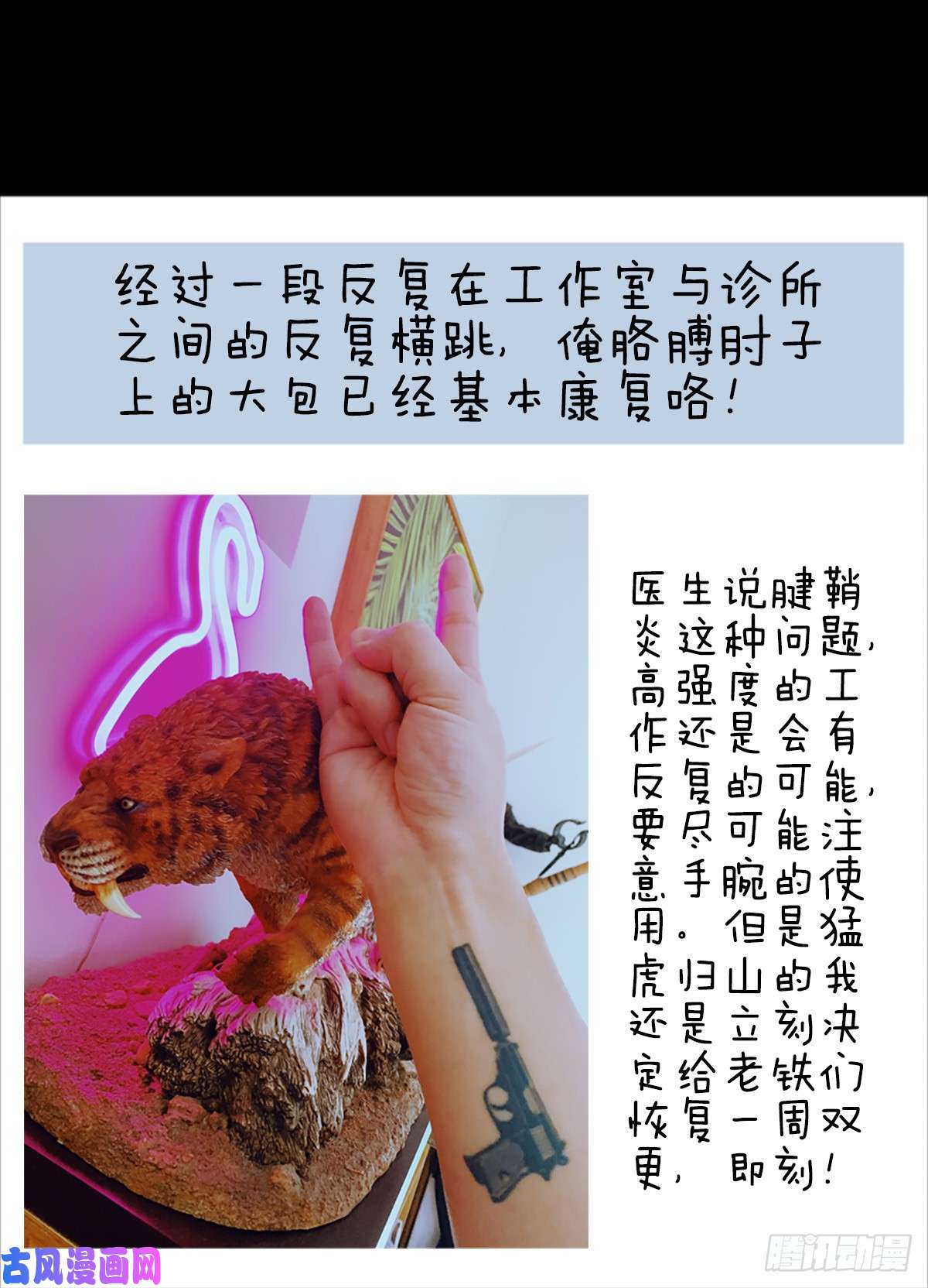 厄世轨迹鸠占鹊巢