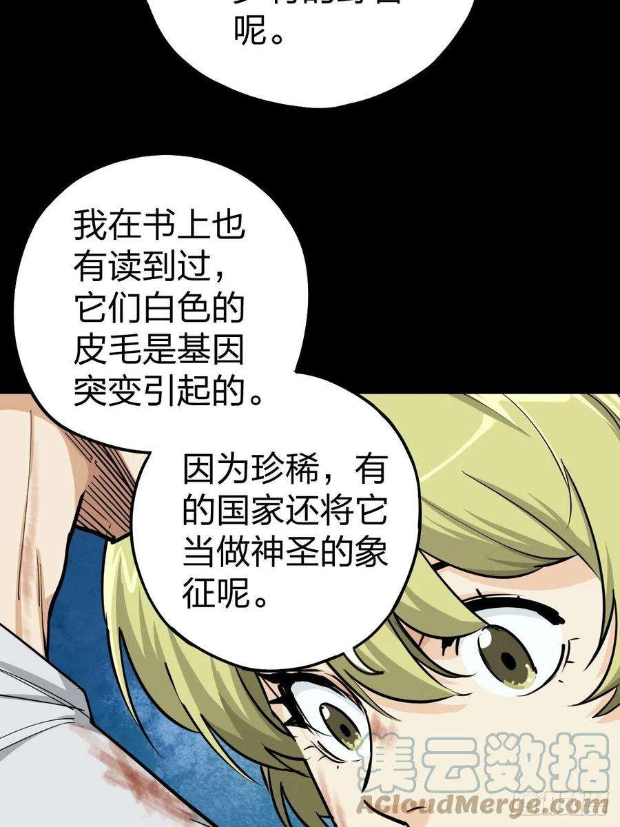 厄世轨迹家人与童年（一）