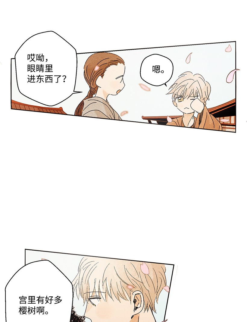 龙下雨的国家1 001