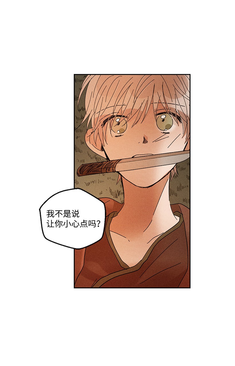 龙下雨的国家33 33