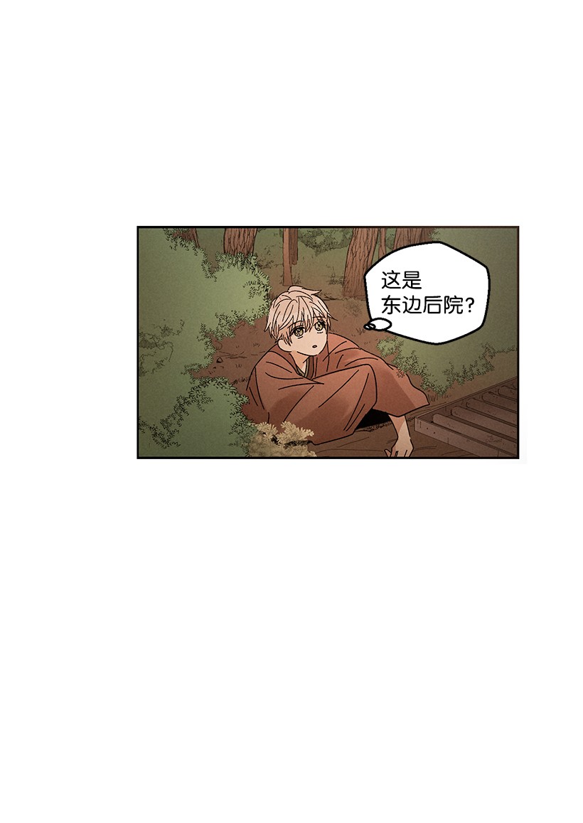 龙下雨的国家45 45