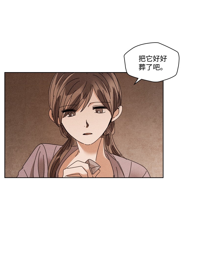 龙下雨的国家107 107