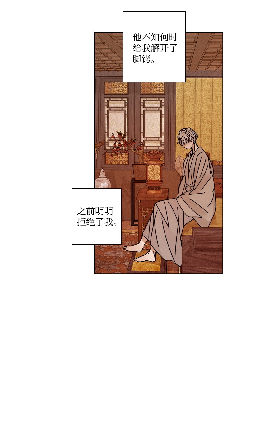 龙下雨的国家108 108