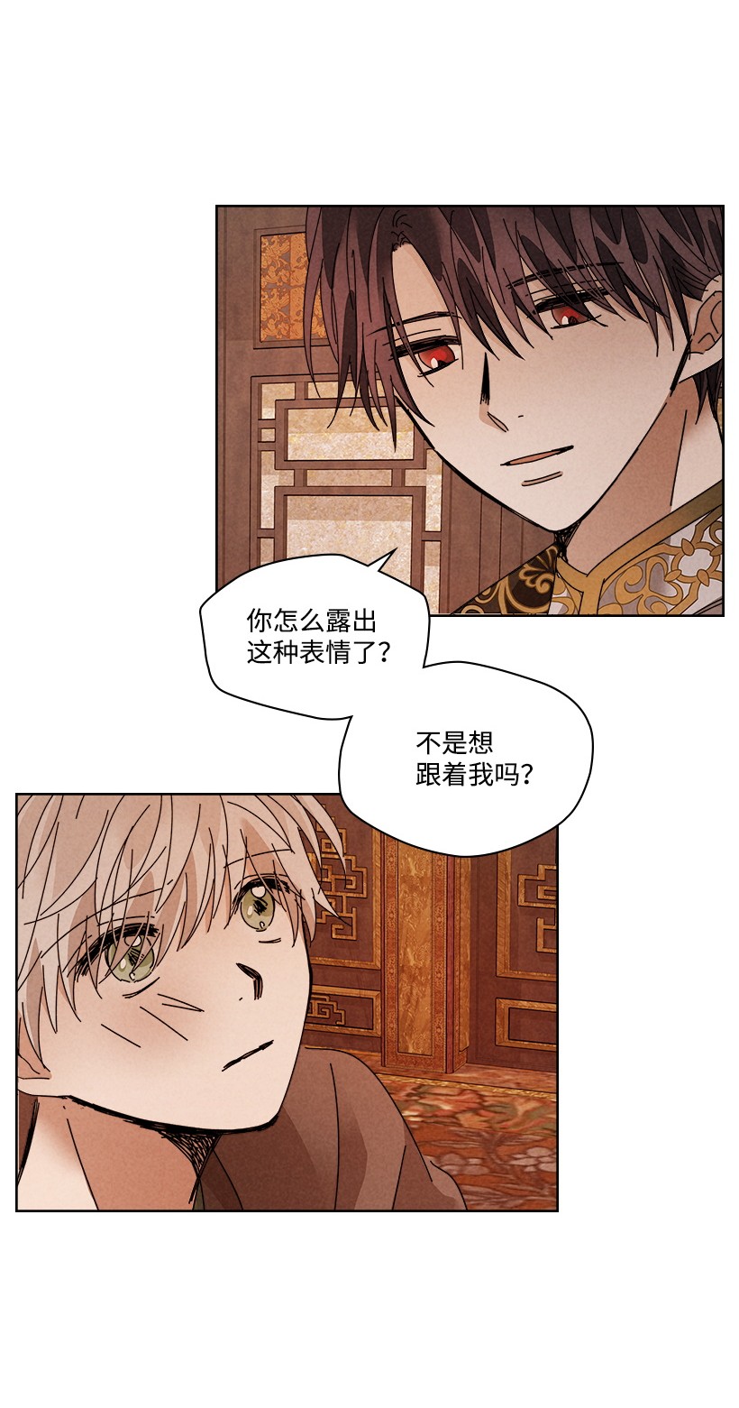 龙下雨的国家109 109