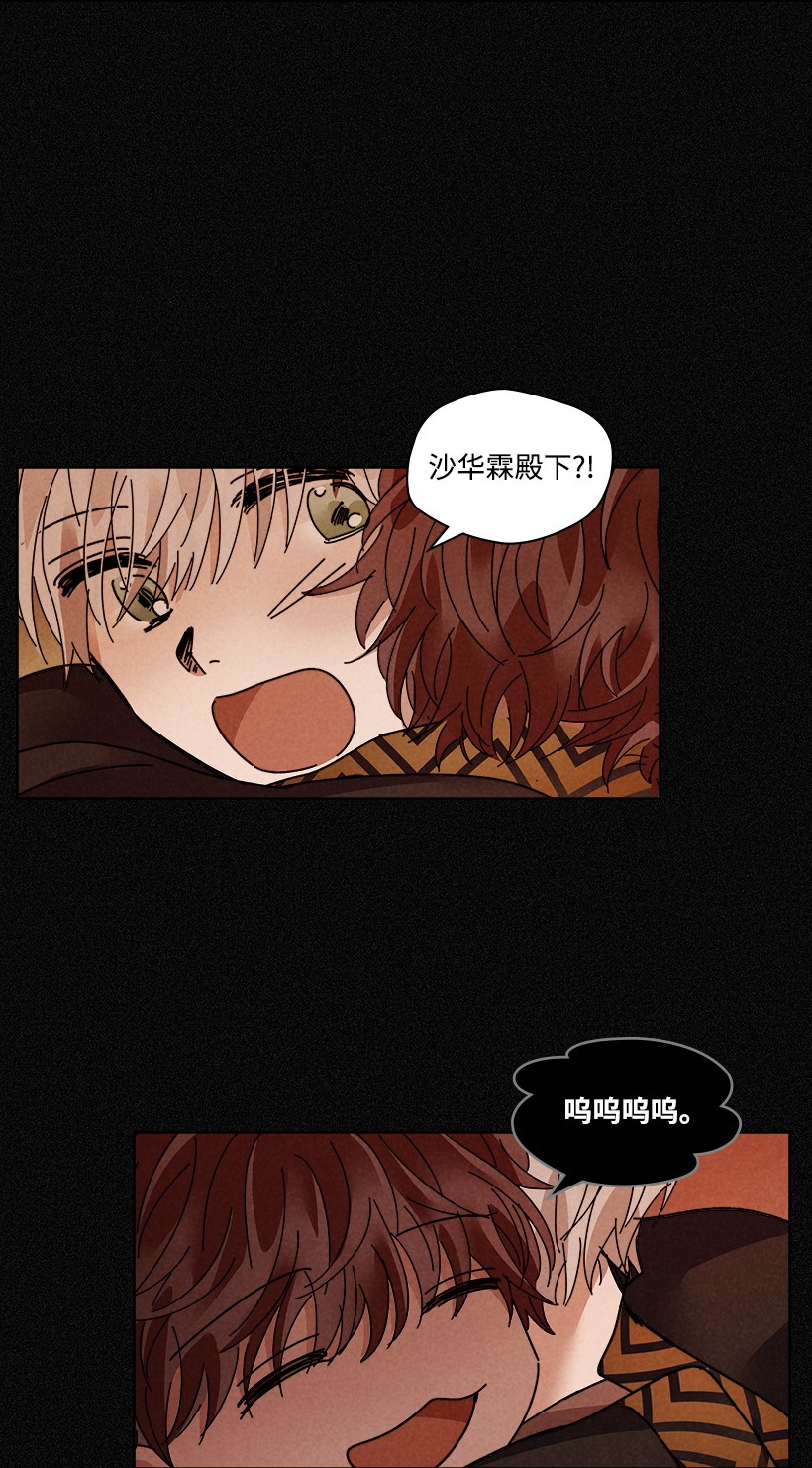 龙下雨的国家110 110