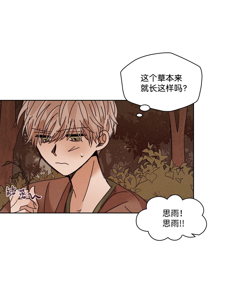 龙下雨的国家113 113