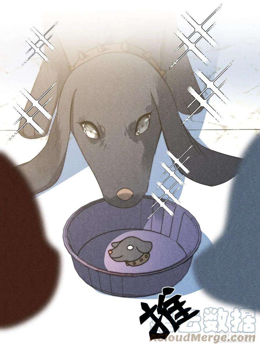 大国师41.狐狗并一窝