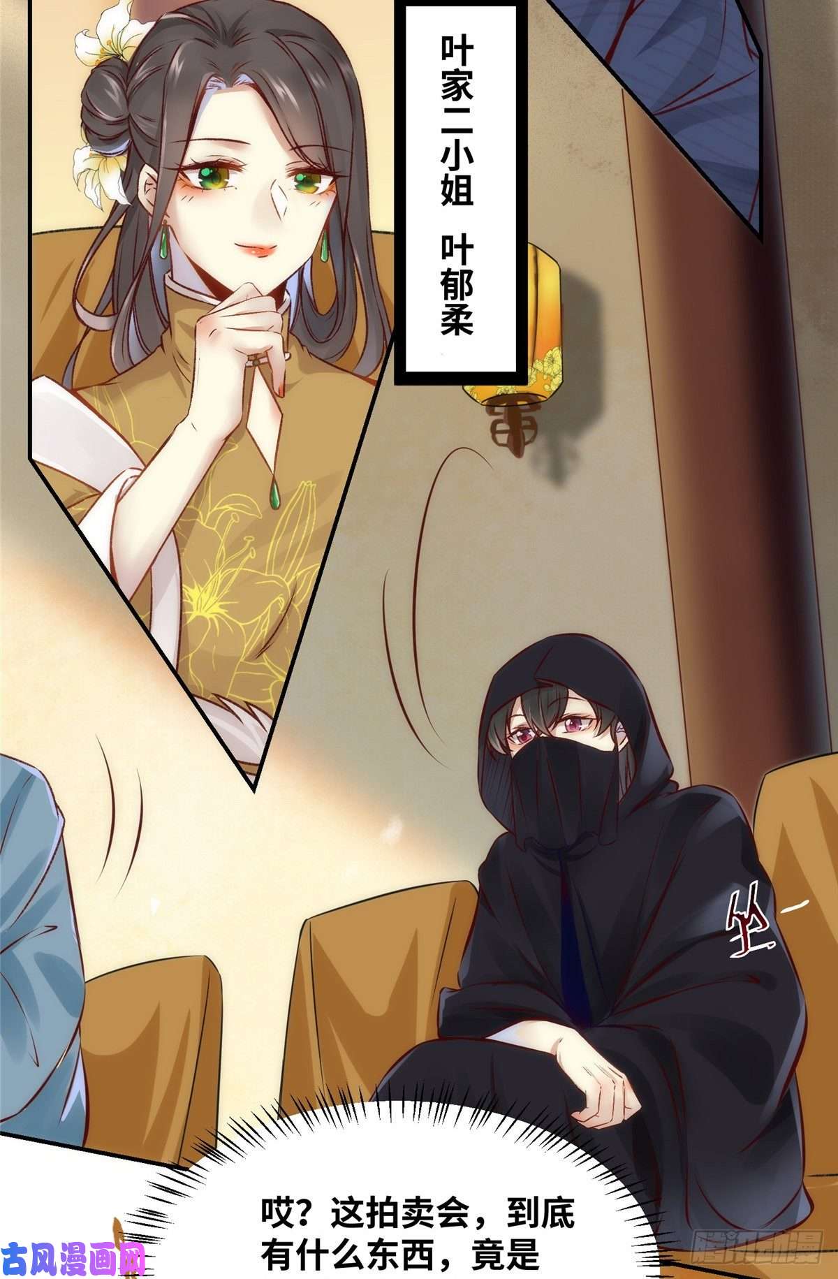 逆天神妃至上13