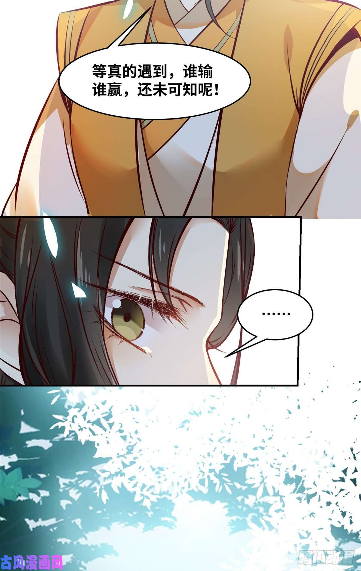 逆天神妃至上第48话 过去的故事