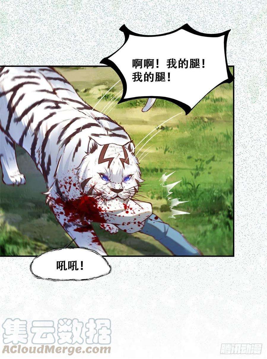 逆天神妃至上3话 神秘的玉简