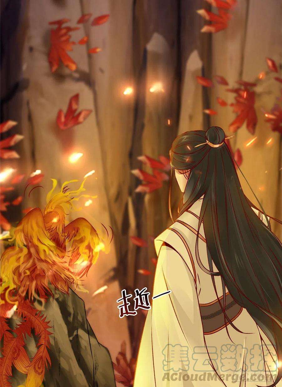 逆天神妃至上6话 朱雀出世